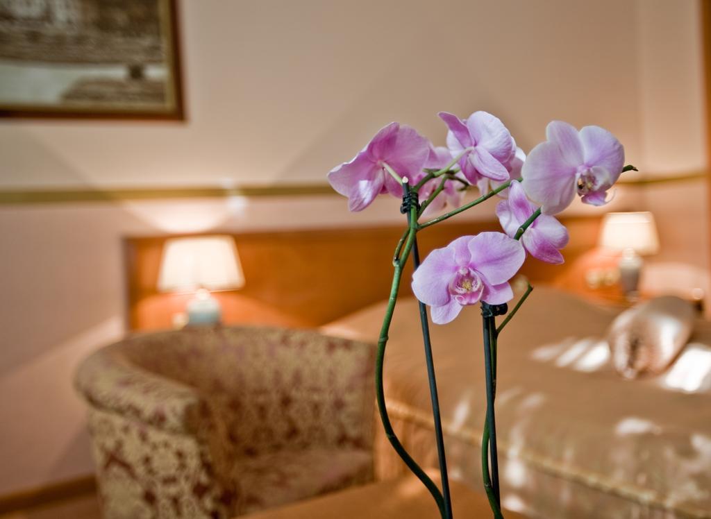 Garni Hotel Park Палич Экстерьер фото